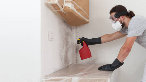 Professional Bathroom Mold Removal technician working in Oak Park, IL